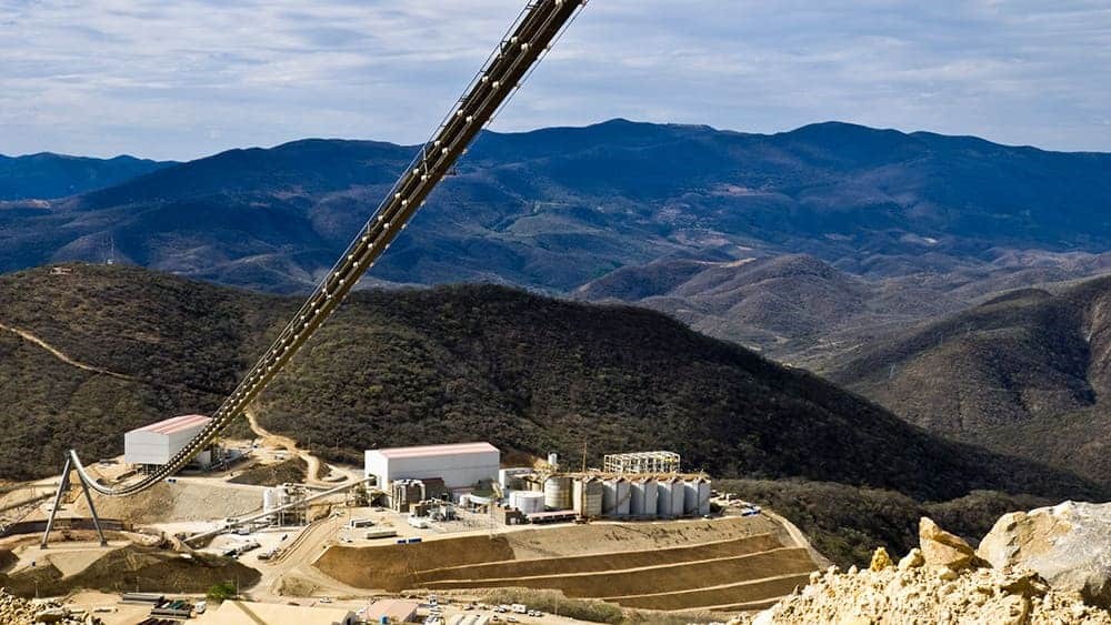 El limon Guajes, Imagen