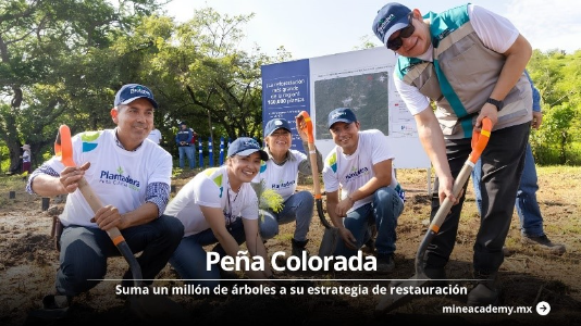 Peña Colorada alcanza un millón de árboles plantados en 10 años